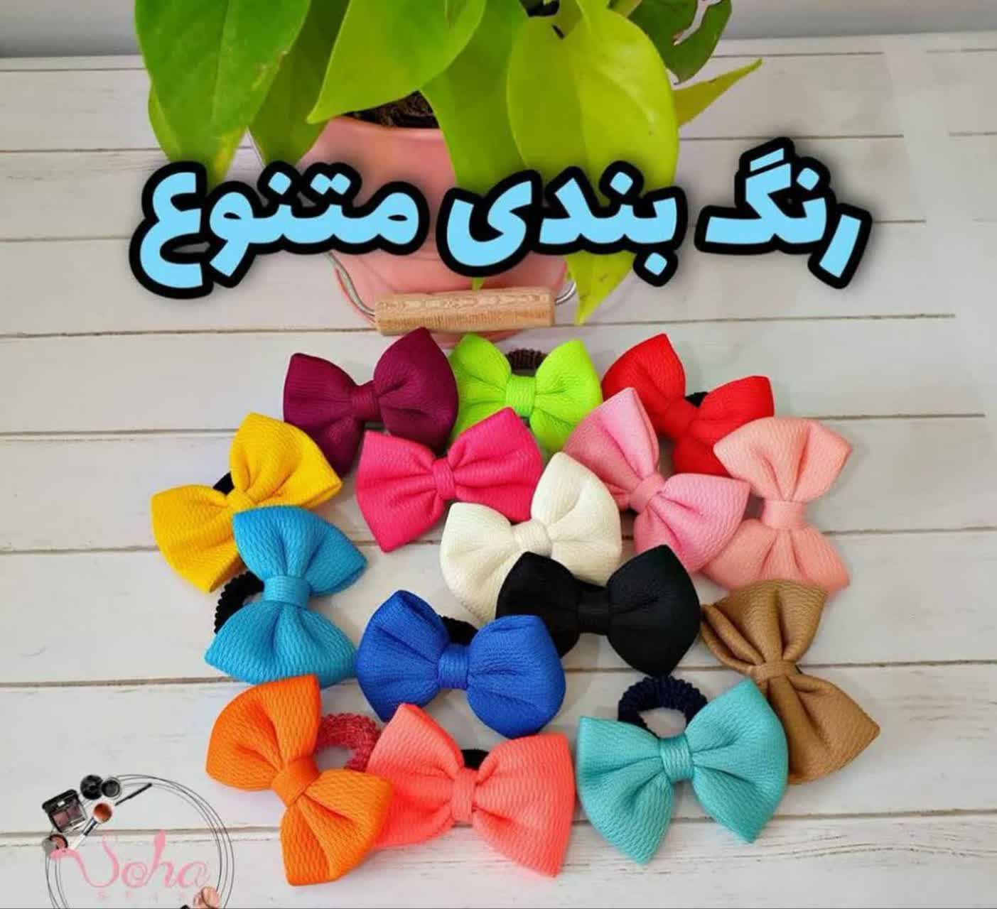 کش مو پاییونی نمای ۲
